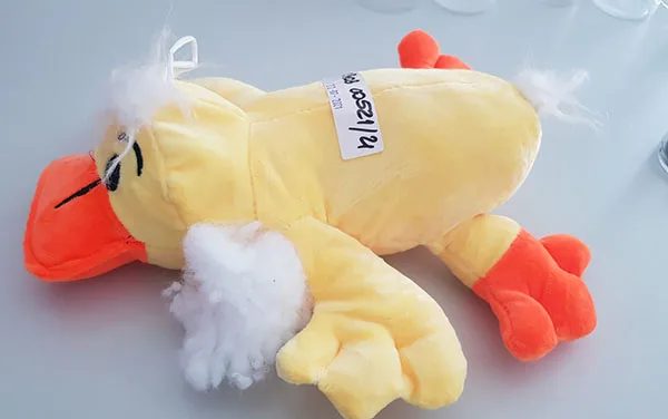 Giocattolo morbido «Plush duck» — foto 2 dell'alert A11/00086/21