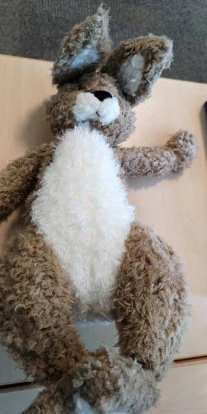 Peluche giocattolo coniglio «Plush pillow» (Toy Sharing)