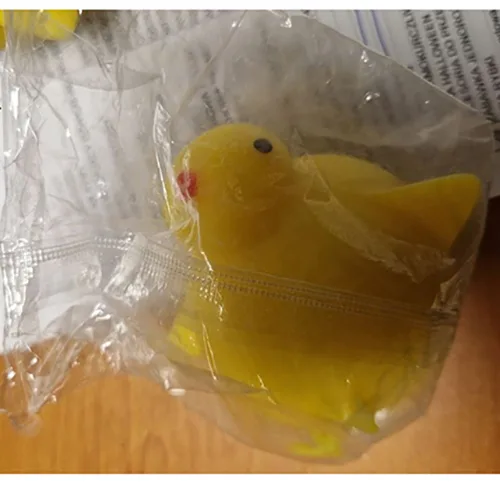 Pollo giocattolo (animal word)