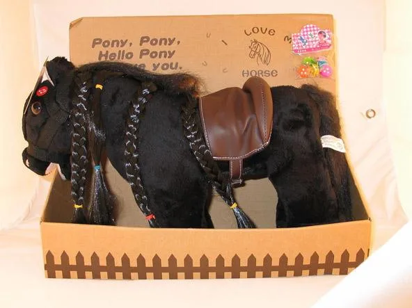 — Pony giocattolo. (Pony, Pony, Hello Pony We Love You.)