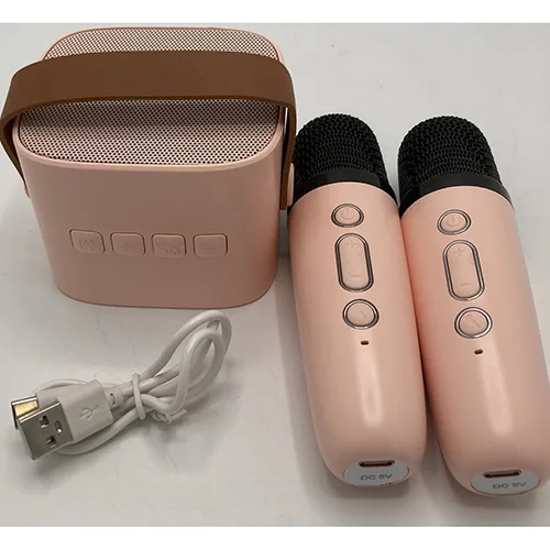 Set di karaoke portatile «Portable Karaoke Speaker Kits» — foto 3 dell'alert SR/02662/26