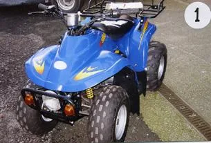 Quad bici motorizzata a 4 ruote – 50cc Auto Mini Quad Bike (Necht)