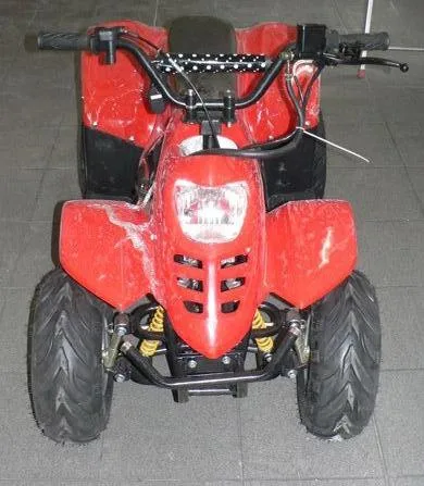Quad — foto 1 dell'alert 0423/08