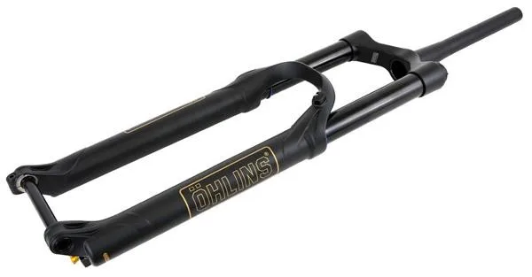 Forchette per biciclette «Racing Forks» — foto 1 dell'alert A12/1779/18