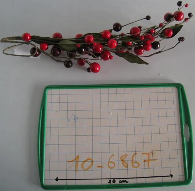 Ramo decorativo con bacche & #13; & #13; — foto 1 dell'alert 0214/11
