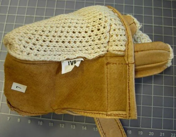 Guanti da equitazione «Reithandschuh and Reitbekleidung (Riding gloves)» — foto 1 dell'alert A12/0399/15