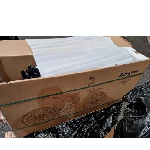 Bicicletta elettrica «Riding Times Electric Bicycle» (Riding Times)