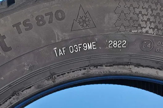 Pneumatici «RP 60 Winter» (Platin)
