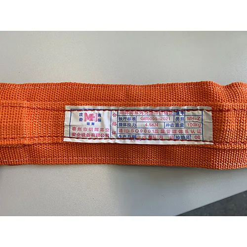 Imbracatura di sicurezza «Safety belt» — foto 6 dell'alert SR/02550/25