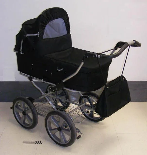 Carrozzina con lettino da trasporto «Scandia move classic» — foto 2 dell'alert A12/0159/14