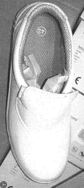 Scarpe di sicurezza – Evrard scarpe di sicurezza — foto 1 dell'alert 1817/10
