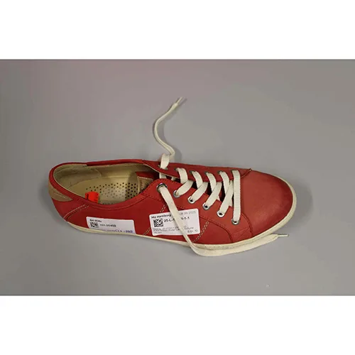 Scarpe in pelle (Paul Green)