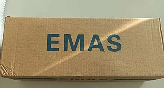Scarpe piatte da donna (Emas)