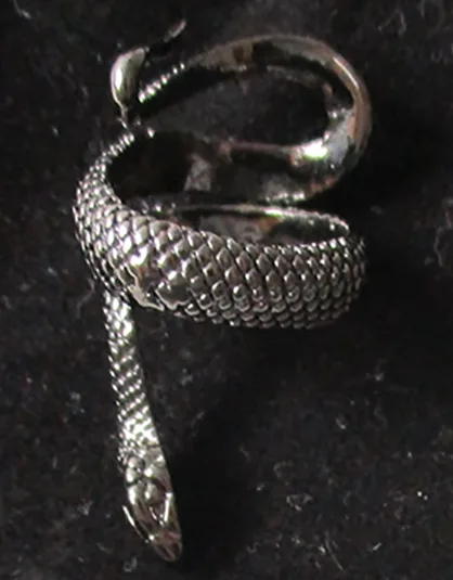 Anello «Schlange Ring verstellbar Silber Kobra Tier Reptil Finger Hand Fingerring» — foto 1 dell'alert INFO/00094/21