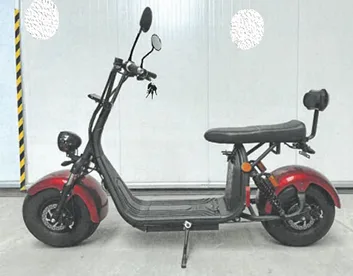 Scooter elettrico (Smarda)