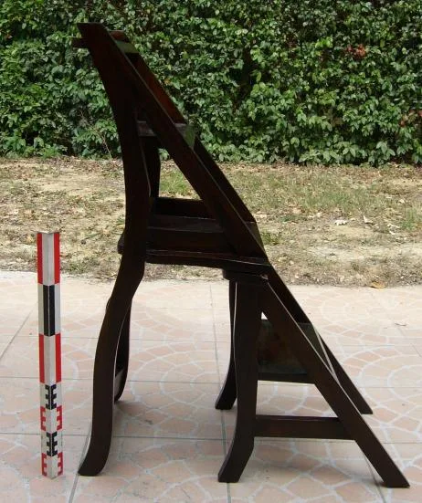 Sedia/passeggiata della biblioteca convertibile (Unknown)