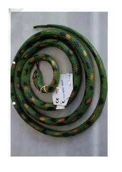 Serpente — foto 2 dell'alert 0080/08