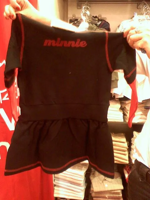 Set di abbigliamento ragazza – "Minnie" — foto 2 dell'alert 0700/09
