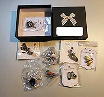 Set di spille — foto 3 dell'alert INFO/00047/23