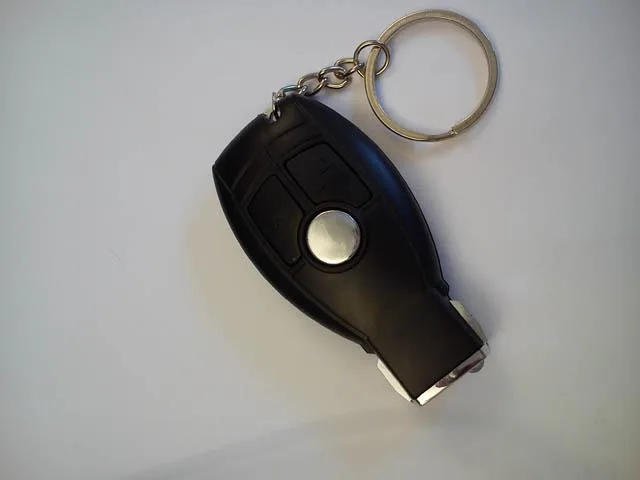 Controllo remoto dell'automobile di scherzo «Shock Car Remote Control» — foto 3 dell'alert A12/1601/13