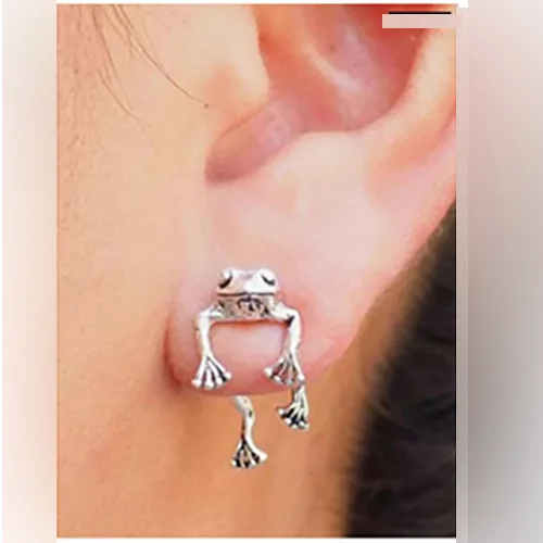 Orecchini «Silver Frog Earring» — foto 2 dell'alert SR/00780/26