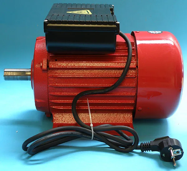 Motore elettrico «SINGLE PHASE MOTOR» — foto 6 dell'alert A12/01569/21