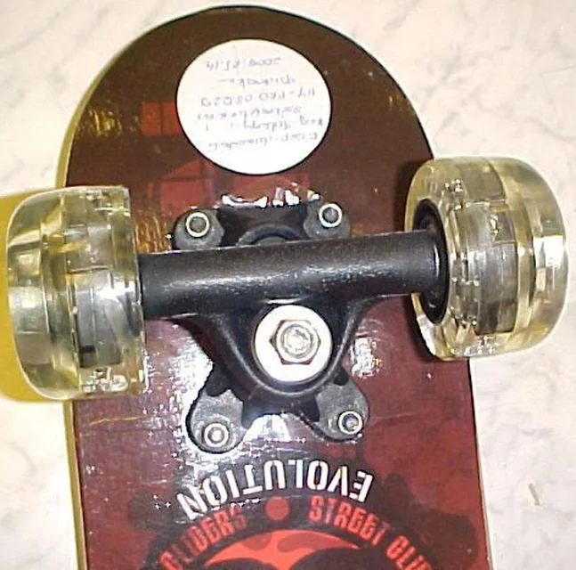 Skateboard – Evolution — foto 1 dell'alert 0840/10