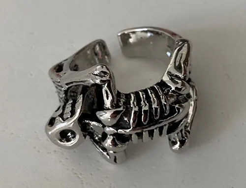 Anello «Skelleton ring» — foto 1 dell'alert A12/02533/23