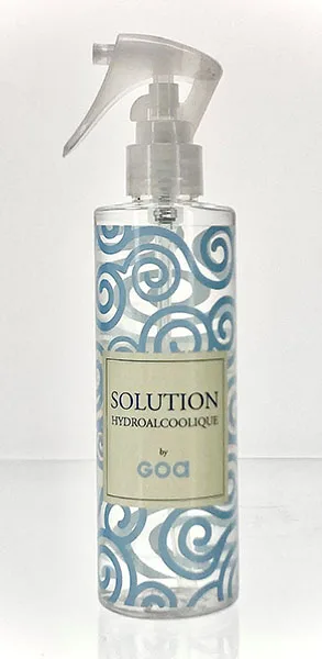 Disinfettante per le mani «Solution hydroalcoolique by Goa» — foto 1 dell'alert A12/00927/22