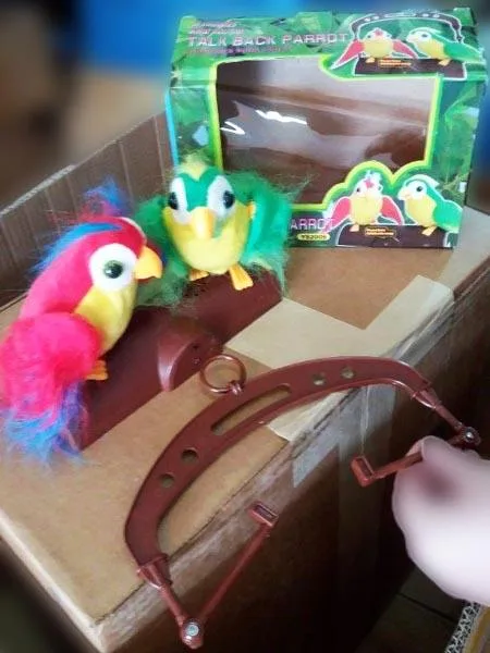 Giocattolo morbido a batteria «TALK BACK PARROT» (Unknown)