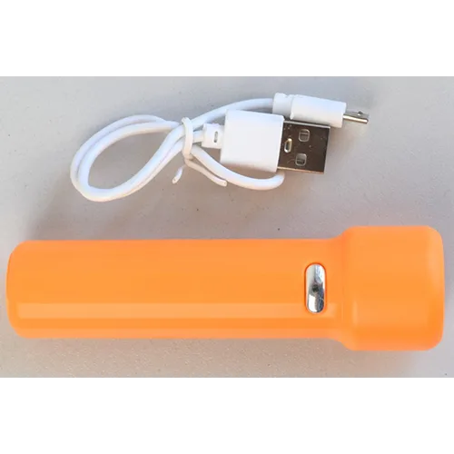 Torcia elettrica «Torch» — foto 2 dell'alert OR/00112/26