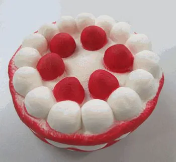 Torta di Squeezy (Knautsch Torte) — foto 2 dell'alert A12/00376/21
