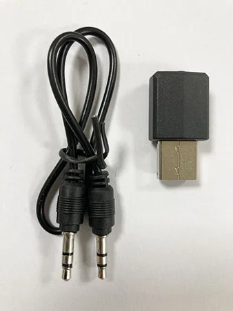 Ricevitore audio wireless «Trådlös ljudmottagare»