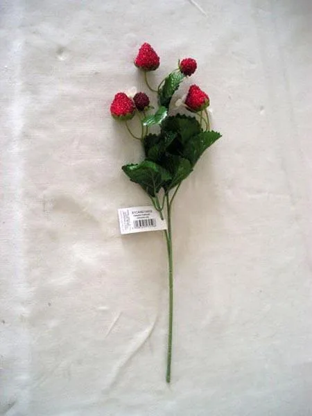 Fragole decorative «Unknown» (Canea)