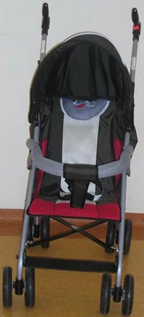 Passeggino & #13; & #13; «Unknown» — foto 2 dell'alert A12/1767/12