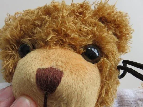 Orso di Teddy «Unknown» — foto 2 dell'alert A12/0945/15