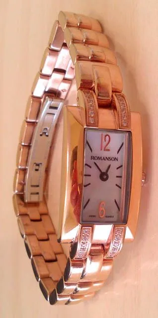 Orologio da polso «Unknown» — foto 2 dell'alert A12/1209/14