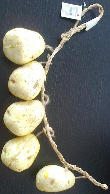 Ortofrutticoli decorativi «Unknown» — foto 1 dell'alert A12/1939/14