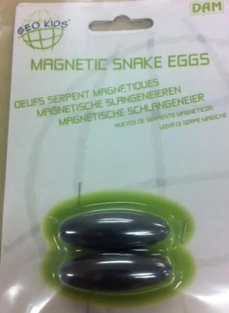 Uova magnetiche di serpente &amp; #13; &amp; #13; (DAM/GEO KIDS)
