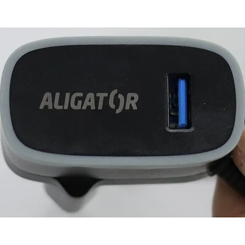Caricabatterie da viaggio «USB 2.1A &amp; USB-C travel charger» — foto 3 dell'alert OR/00122/25