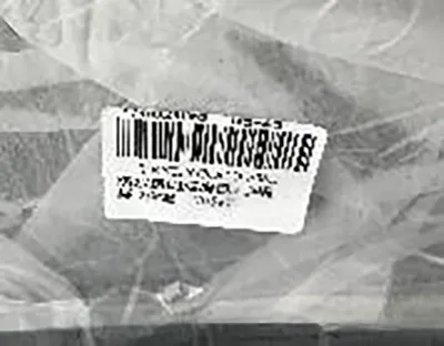 Sacchetto per fotocamera in plastica trasparente «VALICLUD kraftig klar ryggsäck stadion godkänd transparent tygväska PVC stor kapacitet» — foto 2 dell'alert A12/00279/22