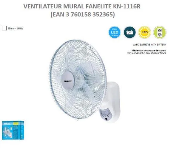 Ventola da parete «Ventilateur mural Fanélite» — foto 1 dell'alert A12/0995/17