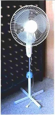 Ventilatore del piedistallo "SCARLETT" — foto 1 dell'alert 0691/06