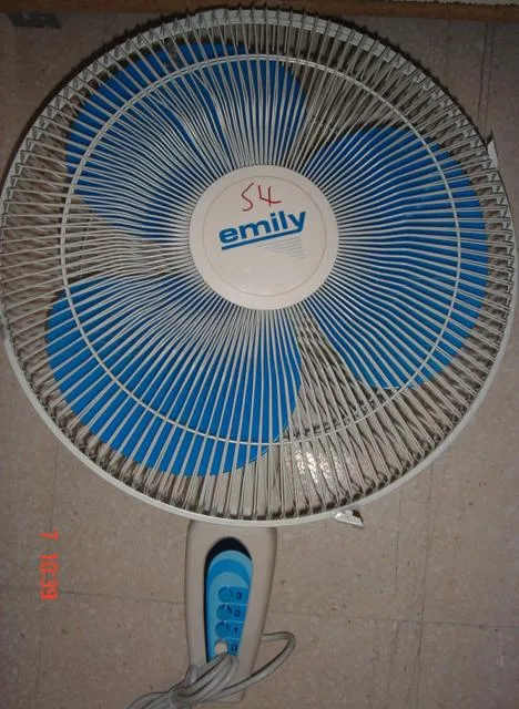 Ventilatore elettrico (Emily)