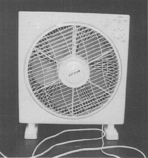 Ventilatore elettrico — foto 1 dell'alert 0591/08