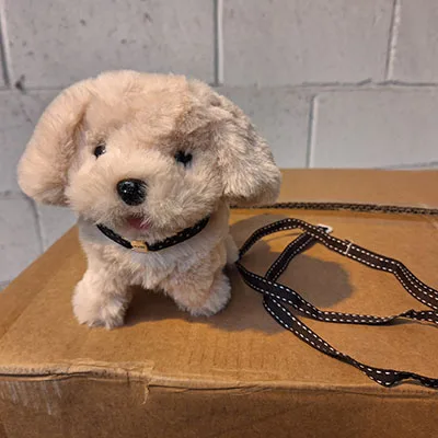 Giocattolo morbido «Walking Toy Dog» (Dodowin)