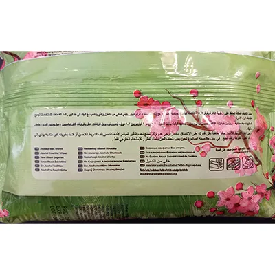 Salviette umidificate «Wet Wipes For All Seasons» — foto 3 dell'alert A12/02544/24