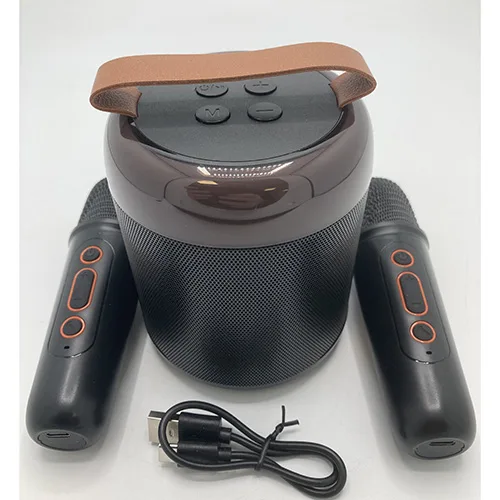 Set di karaoke «Wireless karaoke set» — foto 3 dell'alert SR/02533/26