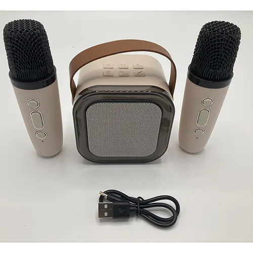 Set di karaoke «Wireless Karaoke Speaker» — foto 3 dell'alert SR/02981/25