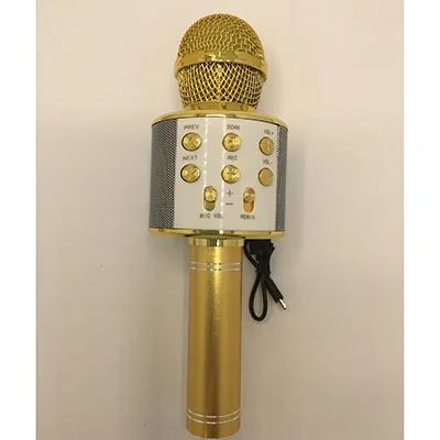 Microfono «Wireless Microphone Hifi Speaker» — foto 2 dell'alert SR/00105/25